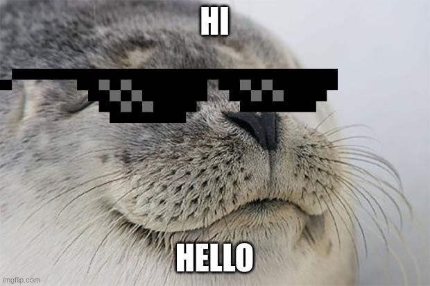 Satisfied Seal Meme - Imgflip