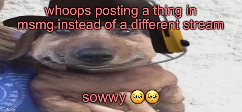 chucklenuts | whoops posting a thing in msmg instead of a different stream; sowwy 🥺🥺 | image tagged in chucklenuts | made w/ Imgflip meme maker