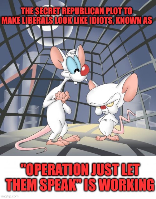Liberals are Easily Manipulated | THE SECRET REPUBLICAN PLOT TO MAKE LIBERALS LOOK LIKE IDIOTS, KNOWN AS; "OPERATION JUST LET THEM SPEAK" IS WORKING | image tagged in pinky and the brain,liberal | made w/ Imgflip meme maker