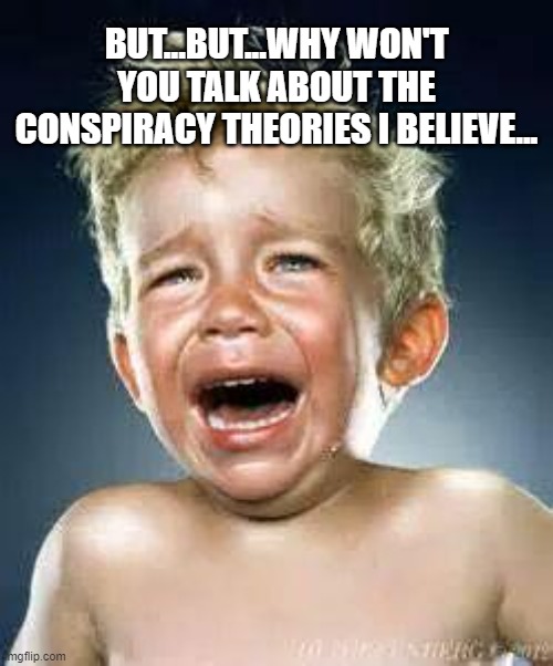 Little Boy Crying  | BUT...BUT...WHY WON'T YOU TALK ABOUT THE CONSPIRACY THEORIES I BELIEVE... | image tagged in little boy crying | made w/ Imgflip meme maker