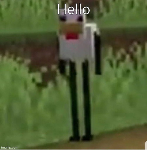 Cursed Minecraft chicken | Hello | image tagged in cursed minecraft chicken | made w/ Imgflip meme maker