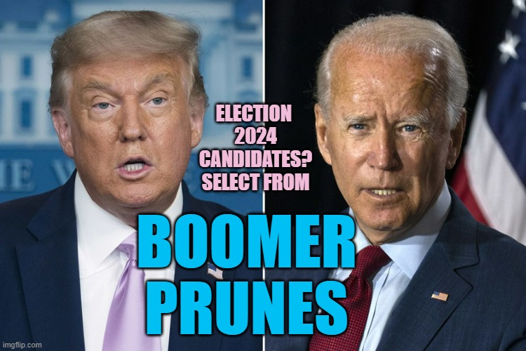 BOOMER PRUNES | ELECTION 
2024
CANDIDATES?
SELECT FROM; BOOMER
PRUNES | image tagged in millennials,boomer humor millennial humor gen-z humor,ok boomer,funny memes,republican national convention,democrat party | made w/ Imgflip meme maker