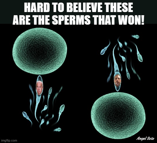 hard to believe these are the sperms that won | HARD TO BELIEVE THESE ARE THE SPERMS THAT WON! Angel Soto | image tagged in i can't believe that's the sperm that won,joe biden,hunter biden,sperm,hard to believe | made w/ Imgflip meme maker