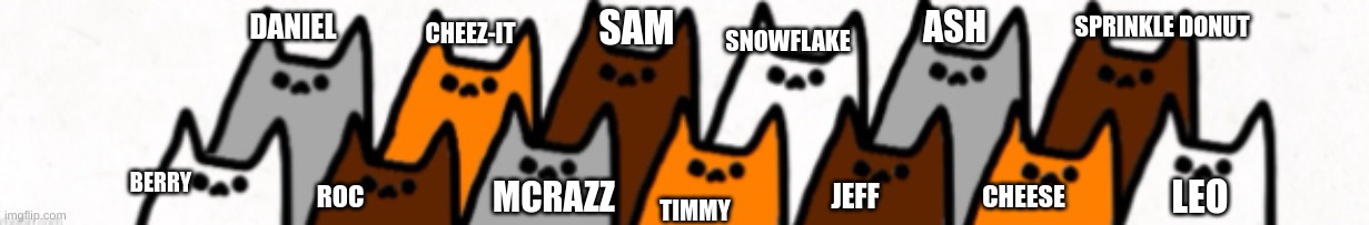 I have all the cats named now! | SPRINKLE DONUT; SAM; DANIEL; SNOWFLAKE; ASH; CHEEZ-IT; TIMMY; BERRY; JEFF; CHEESE; LEO; MCRAZZ; ROC | image tagged in x's 13 cats | made w/ Imgflip meme maker
