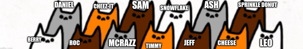 High Quality X's 13 cats, named Blank Meme Template