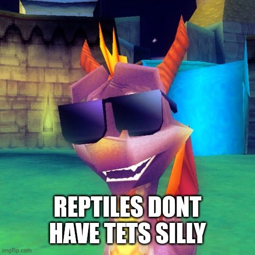 Spyro Swag | REPTILES DONT HAVE TETS SILLY | image tagged in spyro swag | made w/ Imgflip meme maker