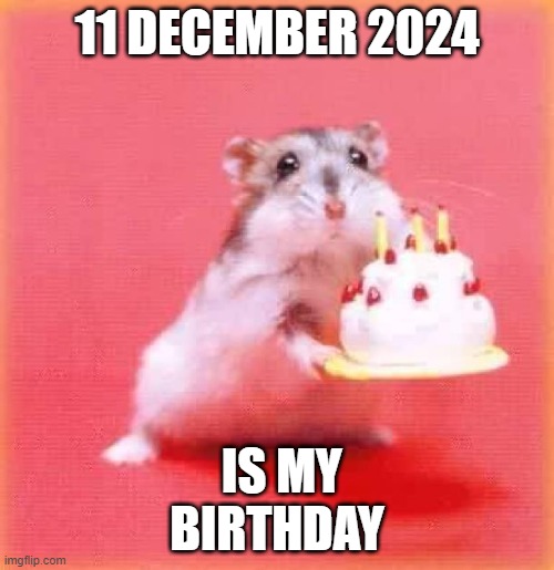 11 december 2024 | 11 DECEMBER 2024; IS MY BIRTHDAY | image tagged in birthday hamster | made w/ Imgflip meme maker