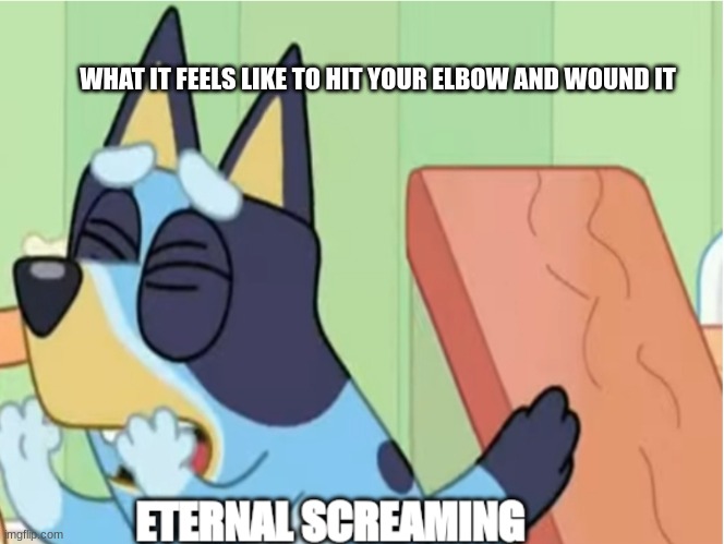 Bluey Eternal Screaming | WHAT IT FEELS LIKE TO HIT YOUR ELBOW AND WOUND IT | image tagged in bluey eternal screaming | made w/ Imgflip meme maker