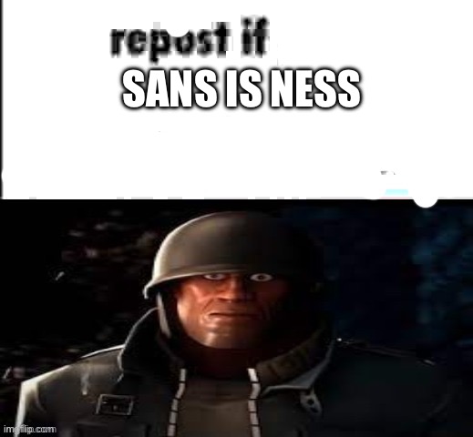 repost if your presence on this server is not necessary | SANS IS NESS | image tagged in repost if your presence on this server is not necessary | made w/ Imgflip meme maker