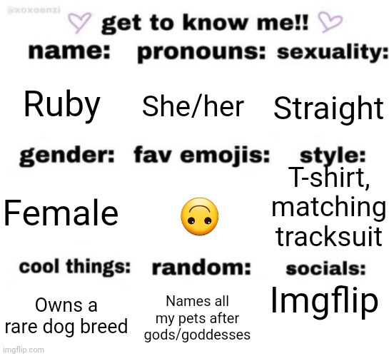 get to know me but better | Ruby; She/her; Straight; T-shirt, matching tracksuit; 🙃; Female; Imgflip; Names all my pets after gods/goddesses; Owns a rare dog breed | image tagged in get to know me but better | made w/ Imgflip meme maker