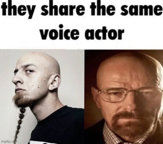 same voice actor | image tagged in memes | made w/ Imgflip meme maker