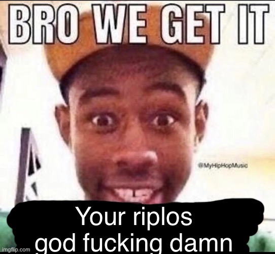 Bro we get it (blank) | Your riplos god fucking damn | image tagged in bro we get it blank | made w/ Imgflip meme maker