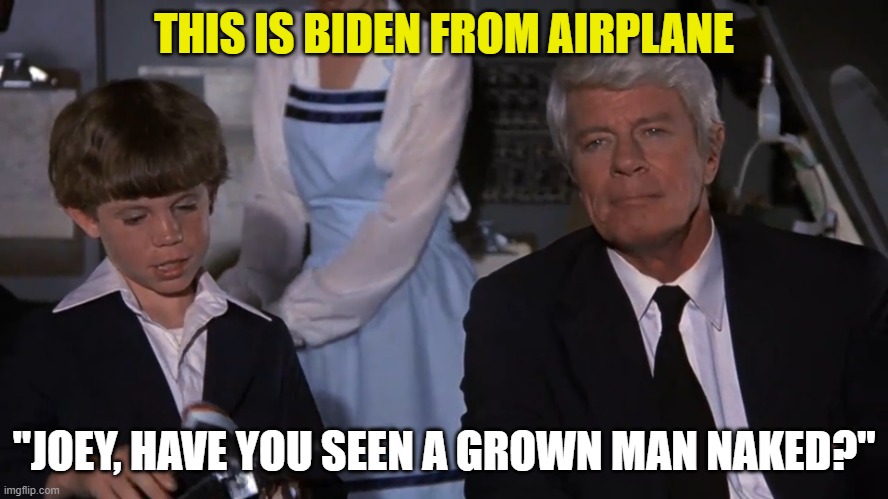 Airplane Joey | THIS IS BIDEN FROM AIRPLANE "JOEY, HAVE YOU SEEN A GROWN MAN NAKED?" | image tagged in airplane joey | made w/ Imgflip meme maker