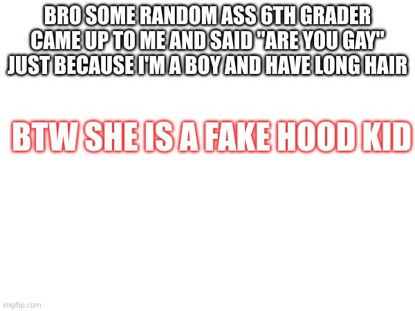 Hate them types | BRO SOME RANDOM ASS 6TH GRADER CAME UP TO ME AND SAID "ARE YOU GAY" JUST BECAUSE I'M A BOY AND HAVE LONG HAIR; BTW SHE IS A FAKE HOOD KID | image tagged in m | made w/ Imgflip meme maker