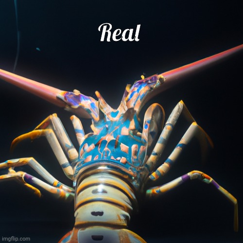 Lobster staring into the void | Real | image tagged in lobster staring into the distance | made w/ Imgflip meme maker