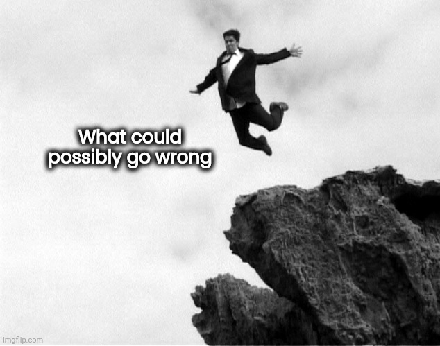 Man Jumping Off a Cliff | What could possibly go wrong | image tagged in man jumping off a cliff | made w/ Imgflip meme maker