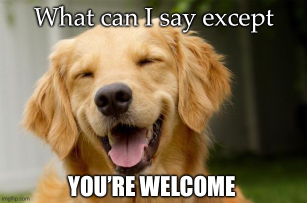 Happy Dog | What can I say except YOU’RE WELCOME | image tagged in happy dog | made w/ Imgflip meme maker