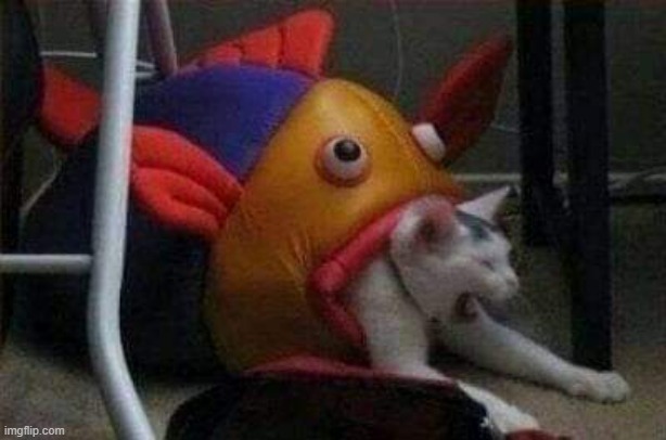 Cat eaten by play-fish | image tagged in cat eaten by play-fish | made w/ Imgflip meme maker