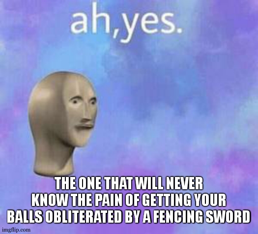 Ah yes | THE ONE THAT WILL NEVER KNOW THE PAIN OF GETTING YOUR BALLS OBLITERATED BY A FENCING SWORD | image tagged in ah yes | made w/ Imgflip meme maker