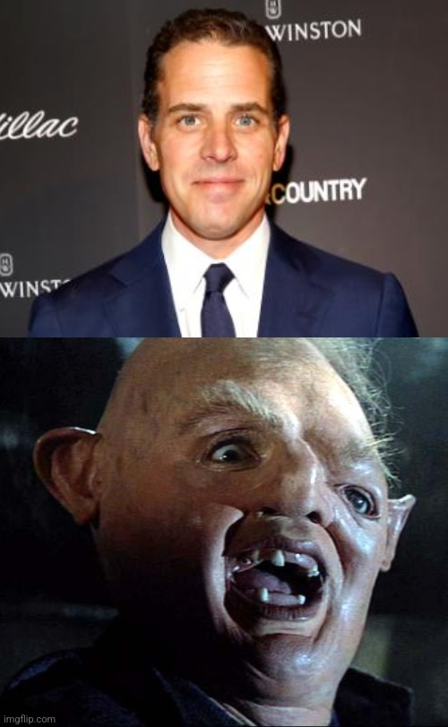 Hunter Biden BEFORE AND AFTER Drugs | image tagged in memes,hunter biden,sloth goonies,drugs,before and after | made w/ Imgflip meme maker
