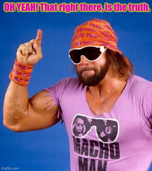 Macho Man | OH YEAH! That right there, is the truth. | image tagged in macho man | made w/ Imgflip meme maker