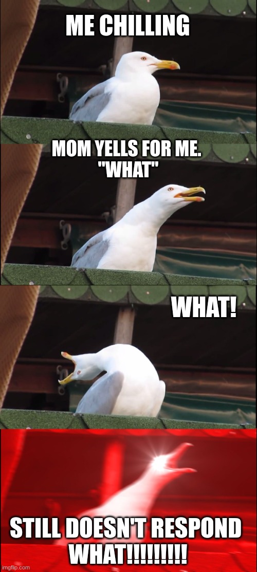 Why does this always happen? | ME CHILLING; MOM YELLS FOR ME. 
"WHAT"; WHAT! STILL DOESN'T RESPOND 
WHAT!!!!!!!!! | image tagged in memes,inhaling seagull | made w/ Imgflip meme maker