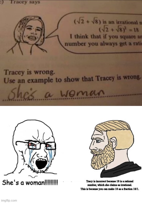 She's a woman!!!!!!!!! Tracy is incorrect because 18 is a rational number, which she claims as irrational. This is because you can make 18 as a fraction 18/1. | image tagged in soyboy vs yes chad | made w/ Imgflip meme maker