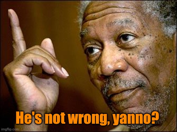 This Morgan Freeman | He's not wrong, yanno? | image tagged in this morgan freeman | made w/ Imgflip meme maker