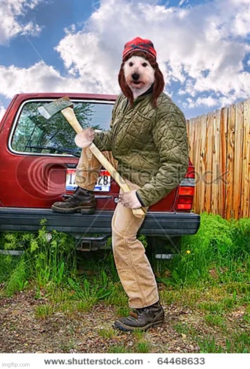 when the fuck u gonna be using this stock photo bro | made w/ Imgflip meme maker