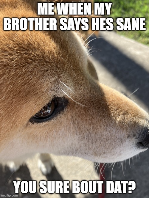 made a meme from the template someone made :3 | ME WHEN MY BROTHER SAYS HES SANE; YOU SURE BOUT DAT? | image tagged in dog says you are sus | made w/ Imgflip meme maker