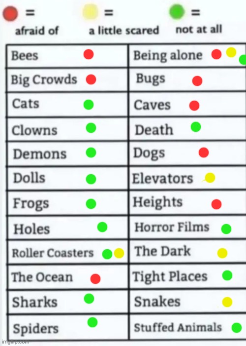 I fear big crowds more than I fear death | image tagged in things to be afraid of lol | made w/ Imgflip meme maker