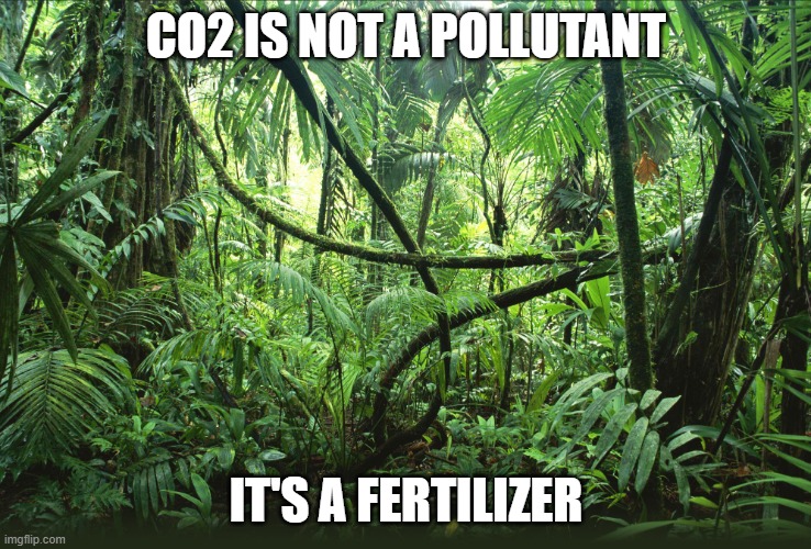 CO2 is a fertilizer | CO2 IS NOT A POLLUTANT; IT'S A FERTILIZER | image tagged in scam,climate,bullshit,carbon footprint | made w/ Imgflip meme maker