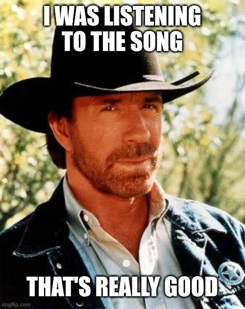 My song is really good | I WAS LISTENING TO THE SONG; THAT'S REALLY GOOD | image tagged in memes,chuck norris,funny | made w/ Imgflip meme maker
