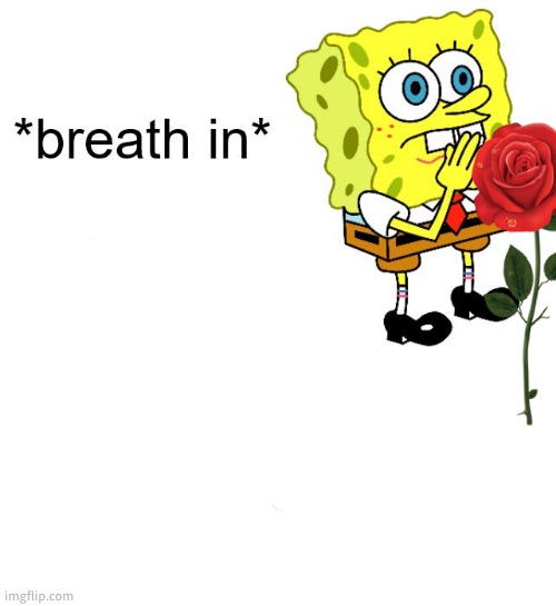 *breath in* boi | image tagged in breath in boi | made w/ Imgflip meme maker