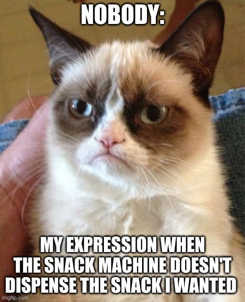 malfunctioning snack machine | NOBODY:; MY EXPRESSION WHEN THE SNACK MACHINE DOESN'T DISPENSE THE SNACK I WANTED | image tagged in memes,grumpy cat,food memes | made w/ Imgflip meme maker