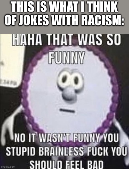 HAHA THAT WAS SO FUNNY | THIS IS WHAT I THINK OF JOKES WITH RACISM: | image tagged in haha that was so funny | made w/ Imgflip meme maker