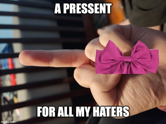 Middle finger | A PRESSENT; FOR ALL MY HATERS | image tagged in middle finger | made w/ Imgflip meme maker