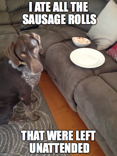 I ATE ALL THE SAUSAGE ROLLS THAT WERE LEFT UNATTENDED | image tagged in dog shame | made w/ Imgflip meme maker