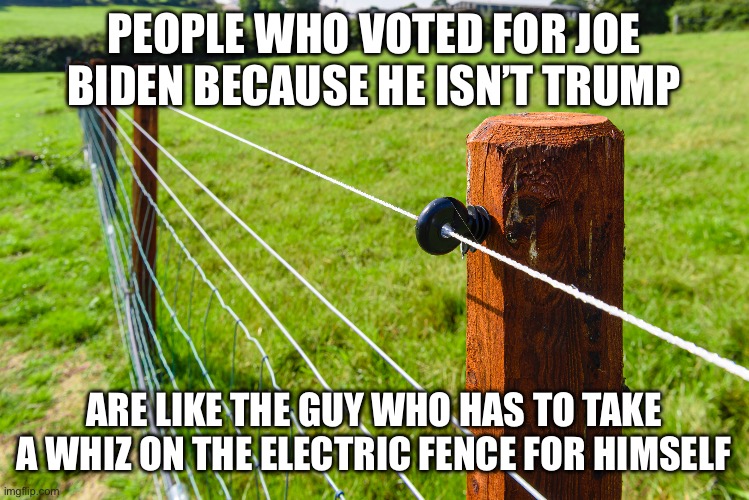 Some learn by common sense, but some just have to try for themselves | PEOPLE WHO VOTED FOR JOE BIDEN BECAUSE HE ISN’T TRUMP; ARE LIKE THE GUY WHO HAS TO TAKE A WHIZ ON THE ELECTRIC FENCE FOR HIMSELF | made w/ Imgflip meme maker