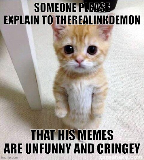 His fun stream ass does NOT belong here | SOMEONE PLEASE EXPLAIN TO THEREALINKDEMON; THAT HIS MEMES ARE UNFUNNY AND CRINGEY | image tagged in memes,cute cat | made w/ Imgflip meme maker