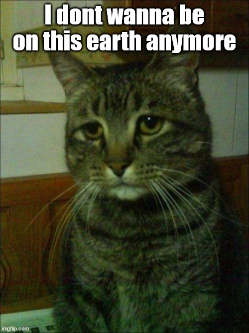Depressed Cat | I dont wanna be on this earth anymore | image tagged in memes,depressed cat | made w/ Imgflip meme maker