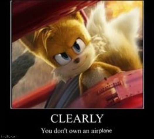 tails clearly you dont own an airplane | image tagged in tails clearly you dont own an airplane | made w/ Imgflip meme maker