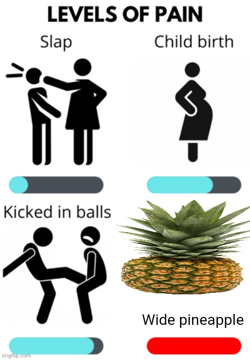 Wide pineapple | Wide pineapple | image tagged in levels of pain,food memes | made w/ Imgflip meme maker