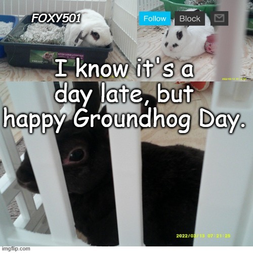 Foxy501 announcement template | I know it's a day late, but happy Groundhog Day. | image tagged in foxy501 announcement template | made w/ Imgflip meme maker