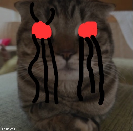 Phyrexian cat | image tagged in cat,magic the gathering | made w/ Imgflip meme maker