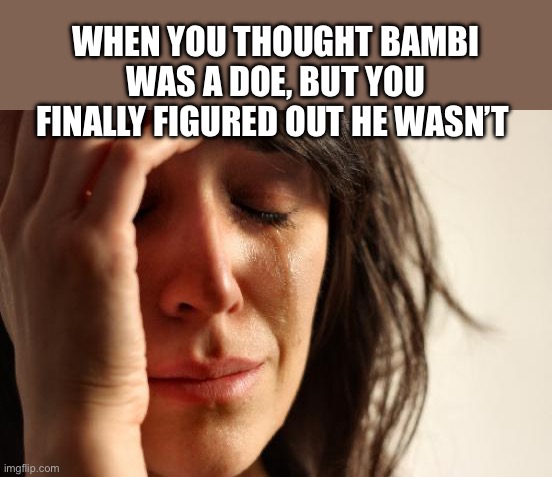 Bambi | WHEN YOU THOUGHT BAMBI WAS A DOE, BUT YOU FINALLY FIGURED OUT HE WASN’T | image tagged in memes,first world problems,bambi | made w/ Imgflip meme maker