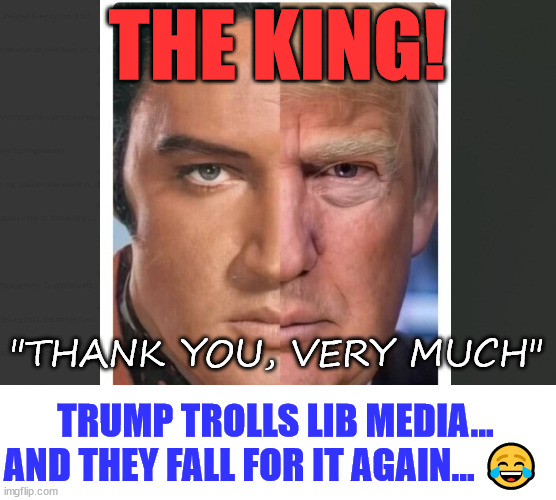 They still keep falling over their TDS... LOL | THE KING! "THANK YOU, VERY MUCH"; TRUMP TROLLS LIB MEDIA... AND THEY FALL FOR IT AGAIN... 😂 | image tagged in lib media meltdown,trump trolls media again,too funny,elvis | made w/ Imgflip meme maker