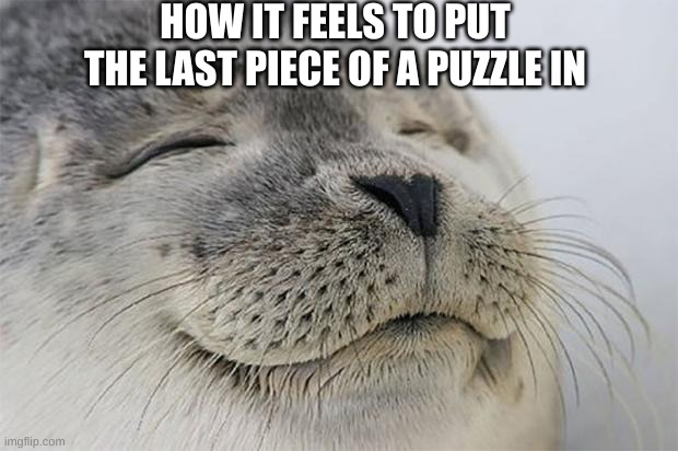 ohhh yeah. | HOW IT FEELS TO PUT THE LAST PIECE OF A PUZZLE IN | image tagged in memes,satisfied seal | made w/ Imgflip meme maker