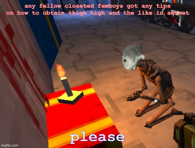 need | any fellow closeted femboys got any tips on how to obtain thigh high and the like in secret; please | image tagged in literally me | made w/ Imgflip meme maker