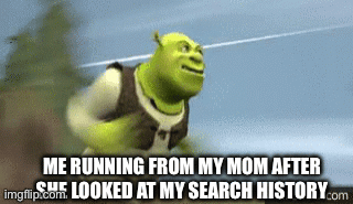 Run | ME RUNNING FROM MY MOM AFTER SHE LOOKED AT MY SEARCH HISTORY | image tagged in gifs,shrek running | made w/ Imgflip images-to-gif maker